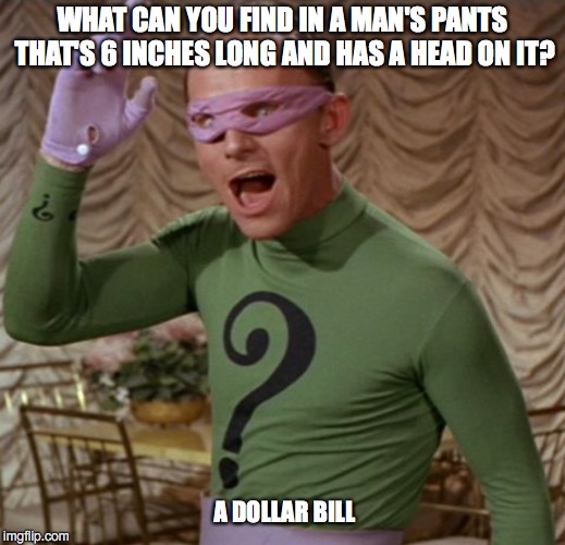 Riddle Me This | WHAT CAN YOU FIND IN A MAN'S PANTS THAT'S 6 INCHES LONG AND HAS A HEAD ON IT? A DOLLAR BILL | image tagged in riddler,batman,robin | made w/ Imgflip meme maker