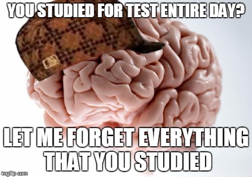 Every sinle time | YOU STUDIED FOR TEST ENTIRE DAY? LET ME FORGET EVERYTHING THAT YOU STUDIED | image tagged in memes,scumbag brain | made w/ Imgflip meme maker