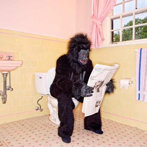 gorilla restroom Blank Meme Template