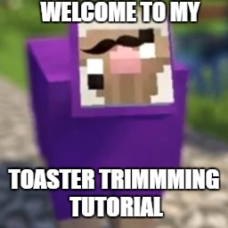 Purple Shep New Video! |  WELCOME TO MY; TOASTER TRIMMMING TUTORIAL | image tagged in funny,minecraft,memes,minecraft sheep,pink sheep | made w/ Imgflip meme maker