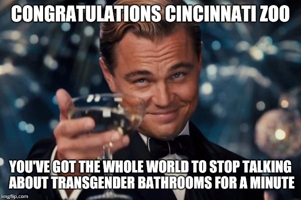 BOOOOOOM!!! | CONGRATULATIONS CINCINNATI ZOO; YOU'VE GOT THE WHOLE WORLD TO STOP TALKING ABOUT TRANSGENDER BATHROOMS FOR A MINUTE | image tagged in memes,leonardo dicaprio cheers | made w/ Imgflip meme maker