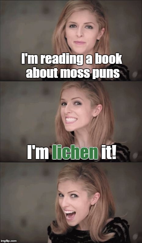 Don't worry if you don't like it. It'll grow on you.  | I'm reading a book about moss puns; lichen; I'm lichen it! | image tagged in memes,bad pun anna kendrick,moss,bad puns,books,yes i know lichen is not a plant | made w/ Imgflip meme maker