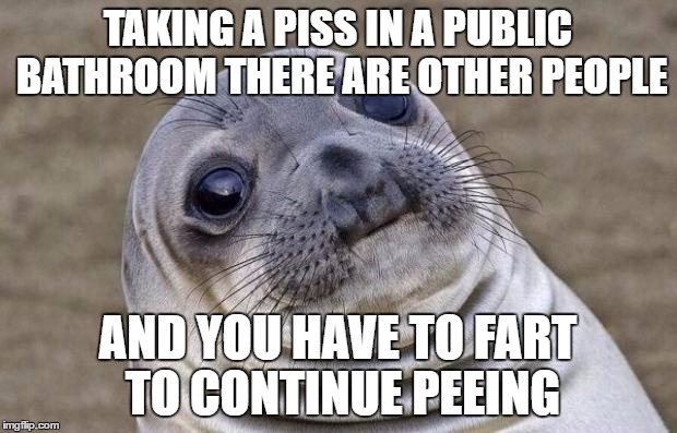 Awkward Moment Sealion Meme | TAKING A PISS IN A PUBLIC BATHROOM THERE ARE OTHER PEOPLE; AND YOU HAVE TO FART TO CONTINUE PEEING | image tagged in memes,awkward moment sealion | made w/ Imgflip meme maker