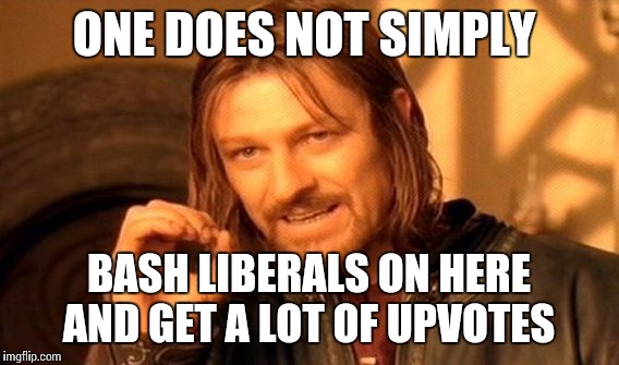 One Does Not Simply  | ONE DOES NOT SIMPLY; BASH LIBERALS ON HERE AND GET A LOT OF UPVOTES | image tagged in memes,one does not simply,liberals,bashing liberals,upvotes | made w/ Imgflip meme maker