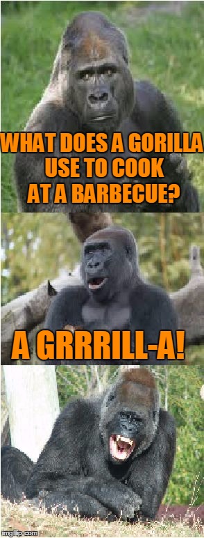 Bad Pun Gorilla | WHAT DOES A GORILLA USE TO COOK AT A BARBECUE? A GRRRILL-A! | image tagged in bad pun gorilla,memes,gorilla,barbecue,food,bad pun | made w/ Imgflip meme maker