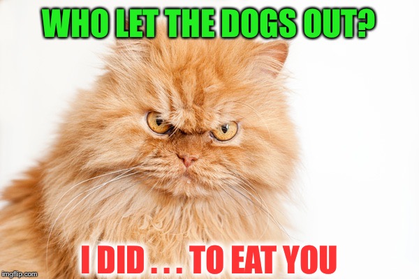 WHO LET THE DOGS OUT? I DID . . . TO EAT YOU | made w/ Imgflip meme maker