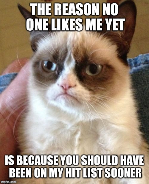 Grumpy Cat | THE REASON NO ONE LIKES ME YET; IS BECAUSE YOU SHOULD HAVE BEEN ON MY HIT LIST SOONER | image tagged in memes,grumpy cat | made w/ Imgflip meme maker