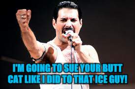 I'M GOING TO SUE YOUR BUTT CAT LIKE I DID TO THAT ICE GUY! | made w/ Imgflip meme maker