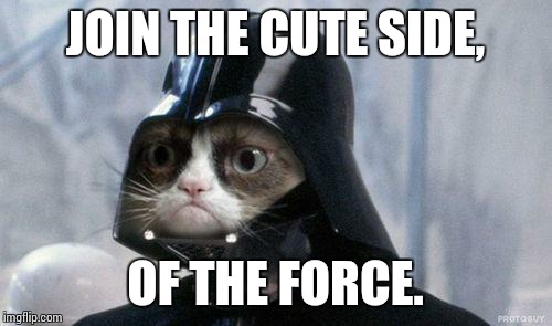 Darth cat  | JOIN THE CUTE SIDE, OF THE FORCE. | image tagged in memes,grumpy cat star wars,grumpy cat | made w/ Imgflip meme maker