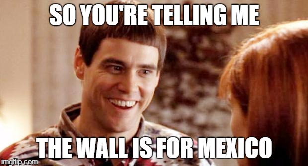 SO YOU'RE TELLING ME THE WALL IS FOR MEXICO | made w/ Imgflip meme maker