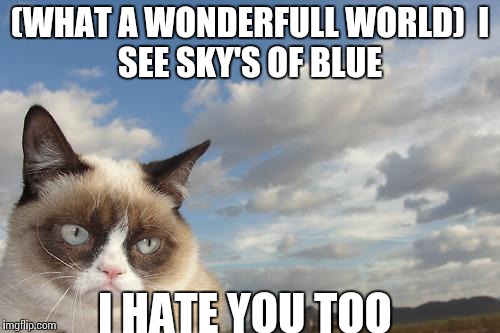 Grumpy Cat Sky | (WHAT A WONDERFULL WORLD)

I SEE SKY'S OF BLUE; I HATE YOU TOO | image tagged in memes,grumpy cat sky,grumpy cat | made w/ Imgflip meme maker