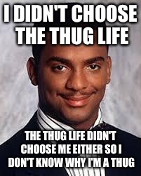 Thug Life | I DIDN'T CHOOSE THE THUG LIFE; THE THUG LIFE DIDN'T CHOOSE ME EITHER SO I DON'T KNOW WHY I'M A THUG | image tagged in thug life | made w/ Imgflip meme maker