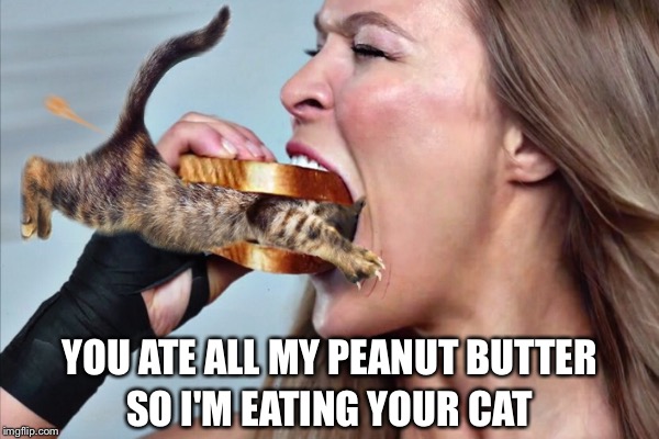 YOU ATE ALL MY PEANUT BUTTER; SO I'M EATING YOUR CAT | image tagged in sandwich,cat | made w/ Imgflip meme maker