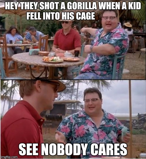 See Nobody Cares | HEY THEY SHOT A GORILLA WHEN A KID FELL INTO HIS CAGE; SEE NOBODY CARES | image tagged in memes,see nobody cares | made w/ Imgflip meme maker