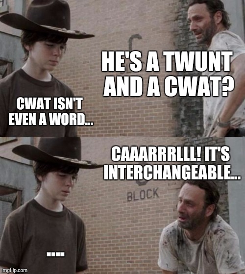 Rick and Carl Meme | HE'S A TWUNT AND A CWAT? CWAT ISN'T EVEN A WORD... CAAARRRLLL! IT'S INTERCHANGEABLE... .... | image tagged in memes,rick and carl | made w/ Imgflip meme maker