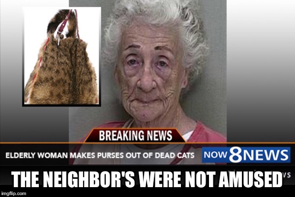 Cat Lover | THE NEIGHBOR'S WERE NOT AMUSED | image tagged in cat,bitch | made w/ Imgflip meme maker