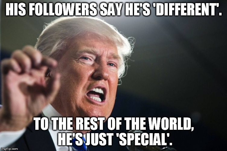 donald trump | HIS FOLLOWERS SAY HE'S 'DIFFERENT'. TO THE REST OF THE WORLD, HE'S JUST 'SPECIAL'. | image tagged in donald trump | made w/ Imgflip meme maker