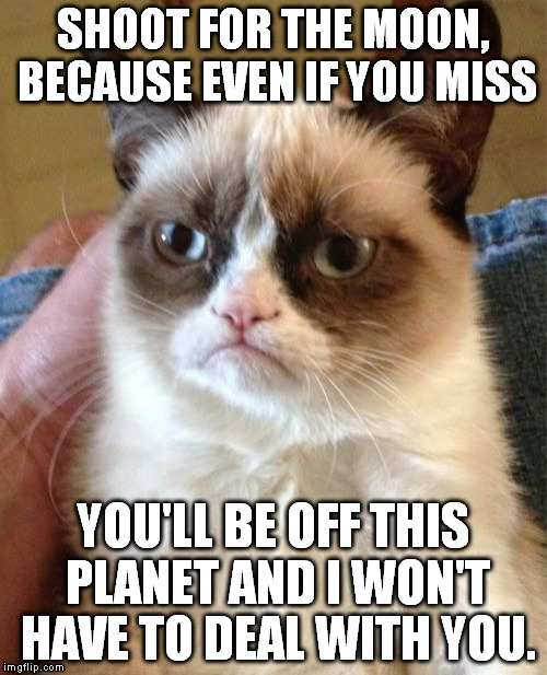 What I'm trying to say is: shoot yourself into space and never come back. | SHOOT FOR THE MOON, BECAUSE EVEN IF YOU MISS; YOU'LL BE OFF THIS PLANET AND I WON'T HAVE TO DEAL WITH YOU. | image tagged in memes,grumpy cat | made w/ Imgflip meme maker