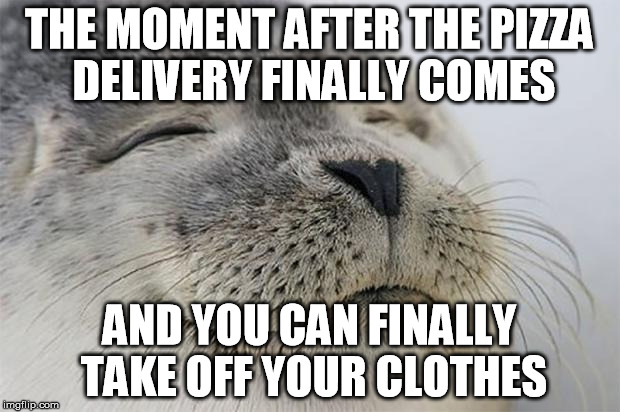 Satisfied Seal | THE MOMENT AFTER THE PIZZA DELIVERY FINALLY COMES; AND YOU CAN FINALLY TAKE OFF YOUR CLOTHES | image tagged in memes,satisfied seal,AdviceAnimals | made w/ Imgflip meme maker
