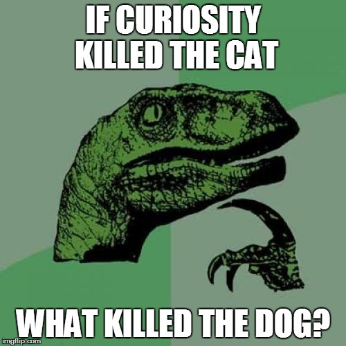 Philosoraptor Meme | IF CURIOSITY KILLED THE CAT; WHAT KILLED THE DOG? | image tagged in memes,philosoraptor | made w/ Imgflip meme maker