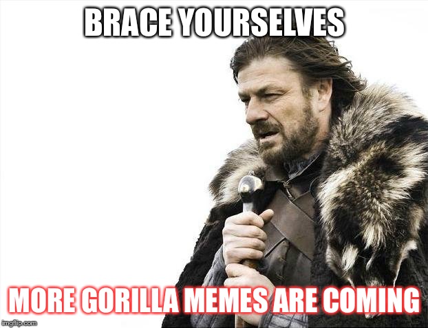 When will it end? | BRACE YOURSELVES; MORE GORILLA MEMES ARE COMING | image tagged in memes,brace yourselves x is coming,gorilla,harambe | made w/ Imgflip meme maker