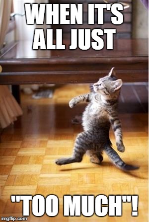 Walking Cat | WHEN IT'S ALL JUST; "TOO MUCH"! | image tagged in walking cat | made w/ Imgflip meme maker