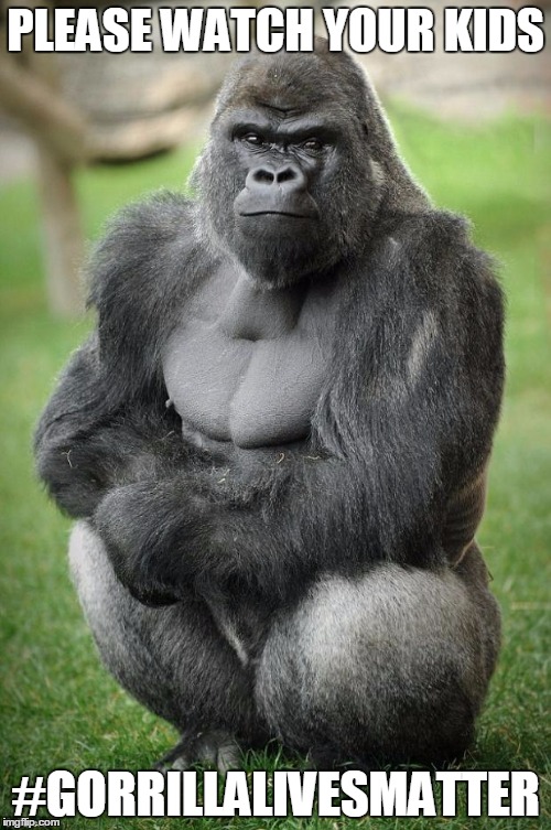 gorilla vegan | PLEASE WATCH YOUR KIDS; #GORRILLALIVESMATTER | image tagged in gorilla vegan | made w/ Imgflip meme maker