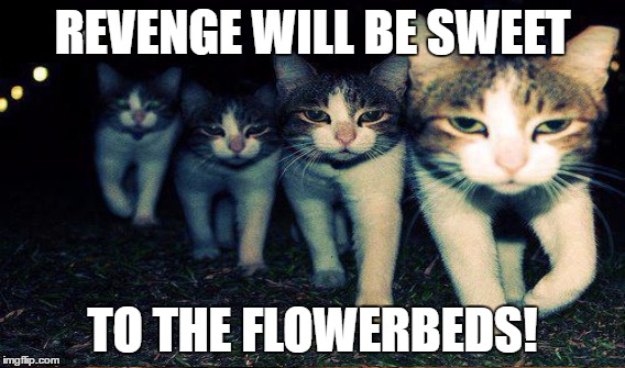 REVENGE WILL BE SWEET TO THE FLOWERBEDS! | made w/ Imgflip meme maker