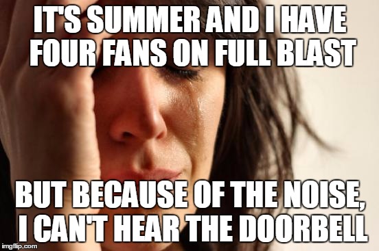 In The Heat of Summer Sunshine | IT'S SUMMER AND I HAVE FOUR FANS ON FULL BLAST; BUT BECAUSE OF THE NOISE, I CAN'T HEAR THE DOORBELL | image tagged in memes,first world problems | made w/ Imgflip meme maker