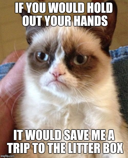 Grumpy Cat | IF YOU WOULD HOLD OUT YOUR HANDS; IT WOULD SAVE ME A TRIP TO THE LITTER BOX | image tagged in memes,grumpy cat | made w/ Imgflip meme maker