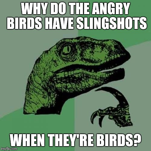 Philosoraptor | WHY DO THE ANGRY BIRDS HAVE SLINGSHOTS; WHEN THEY'RE BIRDS? | image tagged in memes,philosoraptor | made w/ Imgflip meme maker