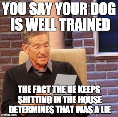 Maury Lie Detector | YOU SAY YOUR DOG IS WELL TRAINED; THE FACT THE HE KEEPS SHITTING IN THE HOUSE DETERMINES THAT WAS A LIE | image tagged in memes,maury lie detector,AdviceAnimals | made w/ Imgflip meme maker