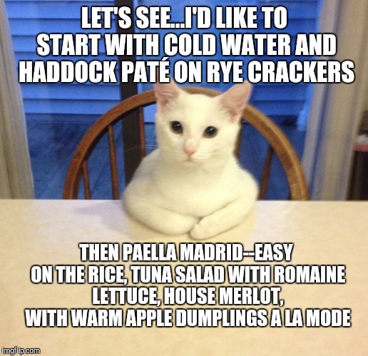 Hungry Cat | LET'S SEE...I'D LIKE TO START WITH COLD WATER AND HADDOCK PATÉ ON RYE CRACKERS; THEN PAELLA MADRID--EASY ON THE RICE, TUNA SALAD WITH ROMAINE LETTUCE, HOUSE MERLOT, WITH WARM APPLE DUMPLINGS A LA MODE | image tagged in cats | made w/ Imgflip meme maker