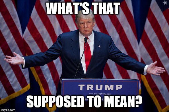 Trump Bruh | WHAT'S THAT SUPPOSED TO MEAN? | image tagged in trump bruh | made w/ Imgflip meme maker