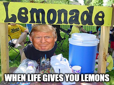 wheres my vodka | WHEN LIFE GIVES YOU LEMONS | image tagged in memes,donald trump | made w/ Imgflip meme maker