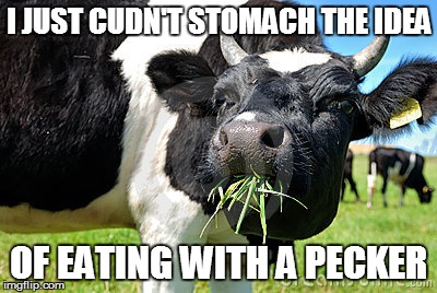 I JUST CUDN'T STOMACH THE IDEA OF EATING WITH A PECKER | made w/ Imgflip meme maker