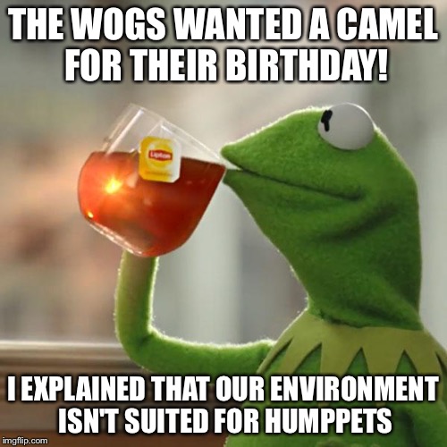 Mopey Moppies! | THE WOGS WANTED A CAMEL FOR THEIR BIRTHDAY! I EXPLAINED THAT OUR ENVIRONMENT ISN'T SUITED FOR HUMPPETS | image tagged in memes,but thats none of my business,kermit the frog | made w/ Imgflip meme maker