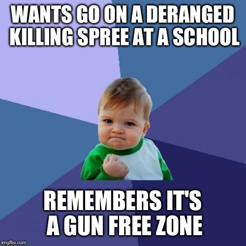 What psychopathic maniacs be like when they're ready to go on killing sprees | WANTS GO ON A DERANGED KILLING SPREE AT A SCHOOL; REMEMBERS IT'S A GUN FREE ZONE | image tagged in memes,success kid,gun control | made w/ Imgflip meme maker