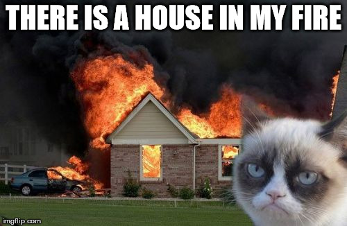 Burn Kitty | THERE IS A HOUSE IN MY FIRE | image tagged in memes,burn kitty | made w/ Imgflip meme maker