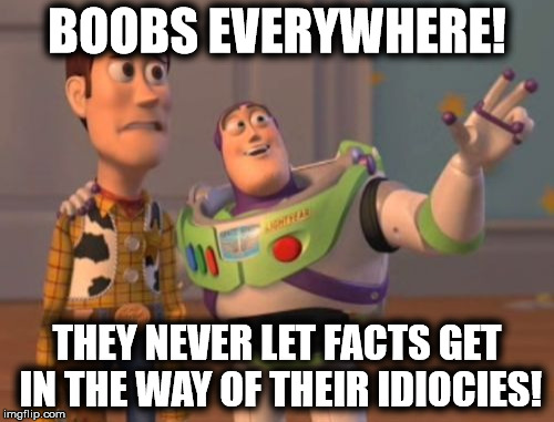 X, X Everywhere Meme | BOOBS EVERYWHERE! THEY NEVER LET FACTS GET IN THE WAY OF THEIR IDIOCIES! | image tagged in memes,x x everywhere | made w/ Imgflip meme maker