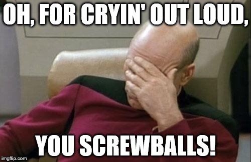 Captain Picard Facepalm | OH, FOR CRYIN' OUT LOUD, YOU SCREWBALLS! | image tagged in memes,captain picard facepalm | made w/ Imgflip meme maker