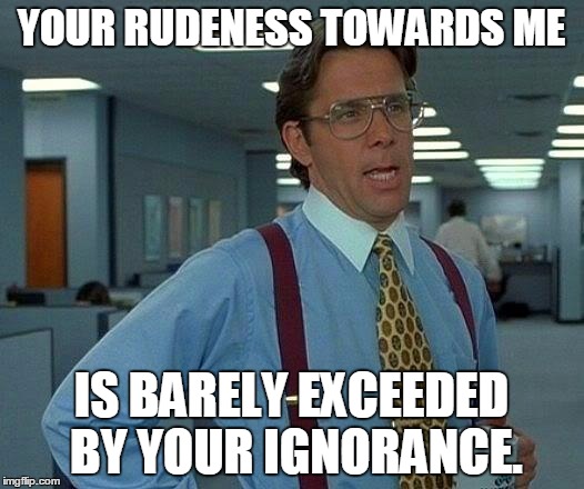 That Would Be Great | YOUR RUDENESS TOWARDS ME; IS BARELY EXCEEDED BY YOUR IGNORANCE. | image tagged in memes,that would be great | made w/ Imgflip meme maker