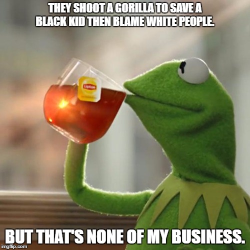 But That's None Of My Business Meme | THEY SHOOT A GORILLA TO SAVE A BLACK KID THEN BLAME WHITE PEOPLE. BUT THAT'S NONE OF MY BUSINESS. | image tagged in memes,but thats none of my business,kermit the frog | made w/ Imgflip meme maker