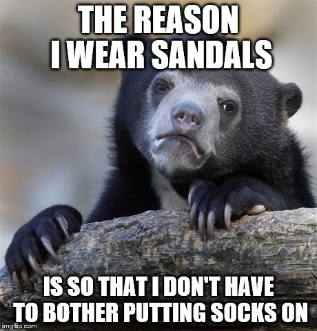 Confession Bear Meme | THE REASON I WEAR SANDALS; IS SO THAT I DON'T HAVE TO BOTHER PUTTING SOCKS ON | image tagged in memes,confession bear | made w/ Imgflip meme maker