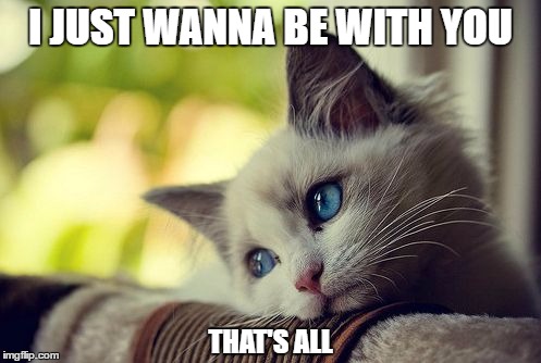 First World Problems Cat Meme | I JUST WANNA BE WITH YOU; THAT'S ALL | image tagged in memes,first world problems cat | made w/ Imgflip meme maker