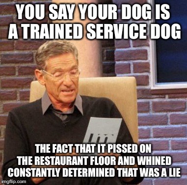Maury Lie Detector Meme | YOU SAY YOUR DOG IS A TRAINED SERVICE DOG; THE FACT THAT IT PISSED ON THE RESTAURANT FLOOR AND WHINED CONSTANTLY DETERMINED THAT WAS A LIE | image tagged in memes,maury lie detector,AdviceAnimals | made w/ Imgflip meme maker