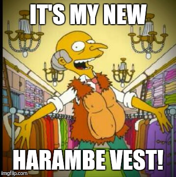 Harambe vest | IT'S MY NEW; HARAMBE VEST! | image tagged in harambe vest | made w/ Imgflip meme maker