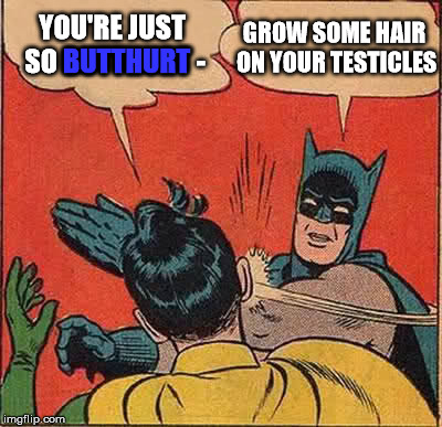 Seriously, how childish can you get? | YOU'RE JUST SO BUTTHURT -; GROW SOME HAIR ON YOUR TESTICLES; BUTTHURT | image tagged in memes,batman slapping robin | made w/ Imgflip meme maker
