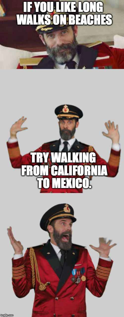 It's that obvious | IF YOU LIKE LONG WALKS ON BEACHES; TRY WALKING FROM CALIFORNIA TO MEXICO. | image tagged in it's that obvious | made w/ Imgflip meme maker