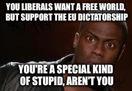 Kevin Hart Meme | YOU LIBERALS WANT A FREE WORLD, BUT SUPPORT THE EU DICTATORSHIP; YOU'RE A SPECIAL KIND OF STUPID, AREN'T YOU | image tagged in memes,kevin hart the hell | made w/ Imgflip meme maker